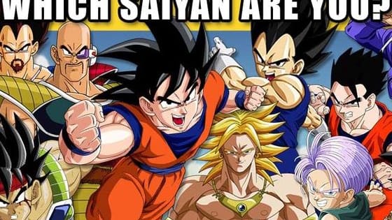 With this personality test you can discover which character from the powerful Saiyan race are you, URL IN CAPTION IMAGE.
http://powbuzz.com/which-saiyan-are-you/