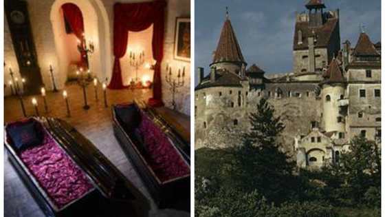 An Airbnb contest is challenging people to come up with something witty to say to Count Dracula if they were to meet him in his castle (the prize). What would you say?