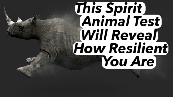 Spirit animals aren't just cuddly ethereal creatures they hold special powers. Your spirit animal will be able to tell you many things, like how resilient you are! Take this quiz to find out. 