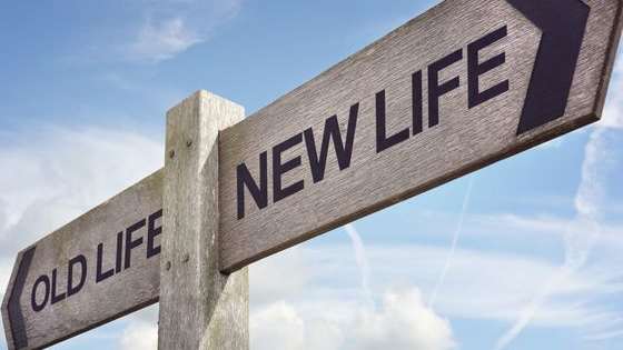 Bored with this life? Always thought you were meant for something greater? Let's see what's waiting in your next existence!