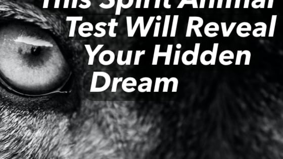 A spirit animal is a spirit guide in animal form that hangs around you at certain parts of your life or even your whole life! Your spirit animal knows you so deeply that they even know your hidden dream! Take this quiz to find out what it is!