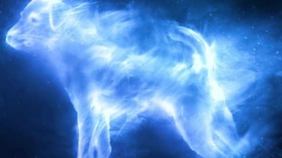 Are you a Harry Potter fan? Well, find out what your patronus is!