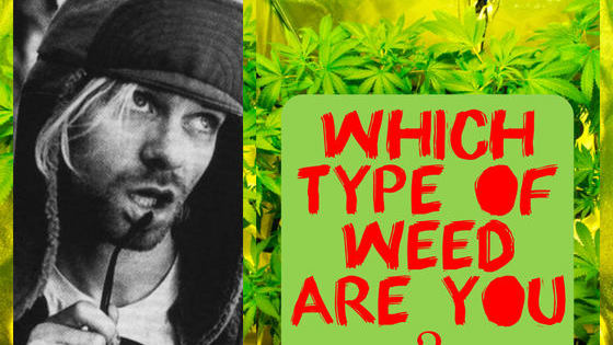 Yes, you read it right!  With such growth in Cannabis legalization, you too should know what is out there and which one could match your personality.  So even if you are not a fan of the all mighty Green, DO try this quiz.  You May surprise yourself!!
