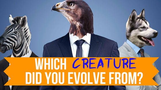 Were you born with the eye of the tiger? Do you float like a butterfly or sting like a bee? It's time to uncover which creature you actually evolved from!