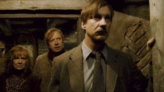 I solemnly swear that I am up to no good!