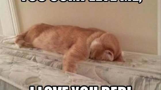 What moment during the day did you wish you were in bed?
