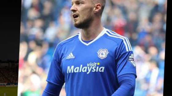 Cardiff City vs Fulham