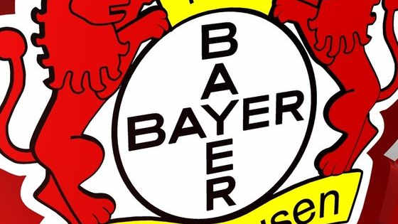 Our friends at http://vivafootballcalcio.com/ have given us a list of some potential new Leverkusen signings this summer. It's not a rumour mill, consider it a wish list. By the time you go through the list some players may already have signed new contracts. You can vote for your personal favourites below by up or down voting each player.