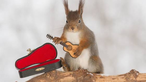 And they all play their own instruments! 
