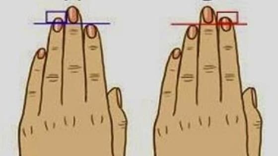 Who would have thought you could learn so much about yourself based on your finger length? 