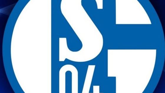 Our friends at http://vivafootballcalcio.com/ have given us a list of some potential new Schalke signings this summer. It's not a rumour mill, consider it a wish list. By the time you go through the list some players may already have signed new contracts. You can vote for your personal favourites below by up or down voting each player.
