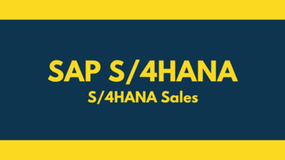 Start your Preparation for SAP C_TS460_1610 and become S/4HANA Sales certified with erpprep.com. Here you get online practice tests prepared and approved by SAP certified experts based on their own certification exam experience. Here, you also get detailed and regularly updated syllabus for SAP C_TS460_1610.