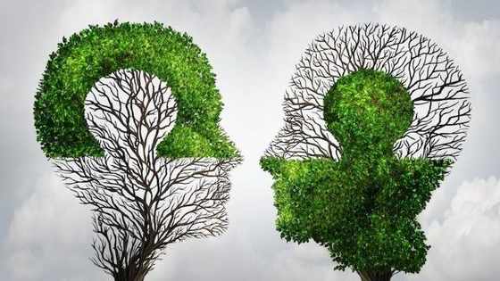 Should you take charge in your relationship? Is your purpose to inspire? What you see in this inkblot test will tell you. Find out here!