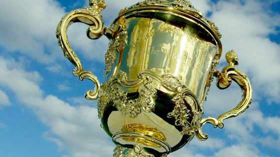 Over the years there have been some amazing champions crowned at some memorable Rugby World Cups, but which trophy-winning team are you? 