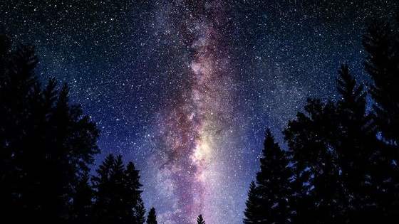 The old saying goes . . . men are from Mars, women are from Venus. But where are you really from?