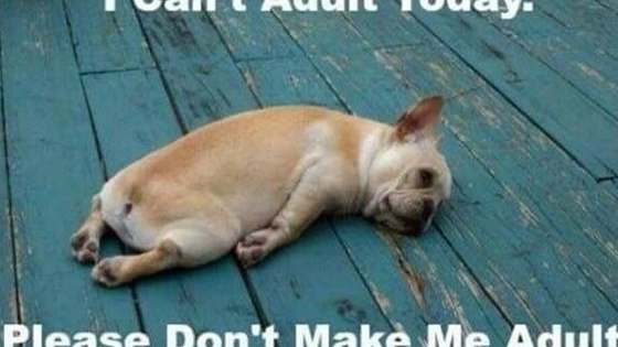You're an adult whether you like it or not...