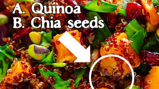These stuffings are not your Grandma's traditional recipe. Can you recognize what's inside by just looking at the picture?