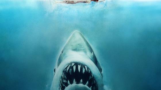 In honor of Shark Week...