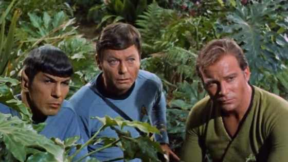 Which OS Star Trek Character are you?