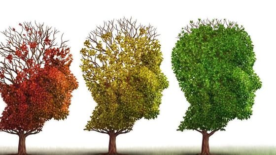 According to new research, your brain ages at a different rate than the rest of your body. So how quickly is your brain aging? Take this quiz - based on the research of neurologist, Dr. Vincent Fortanasce - to find out!