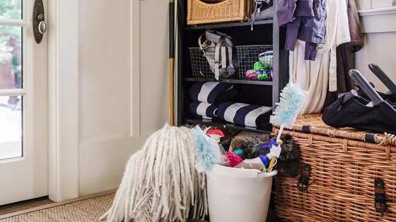 The Facebook founder's dog, Beast, is a master of disguise!