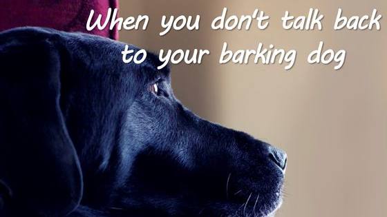 Here's why positive reinforcement is the best way to raise a healthy, happy puppy