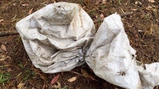 Juliana Turner happened upon the sack, sitting abandoned in a field and knew just what to do!