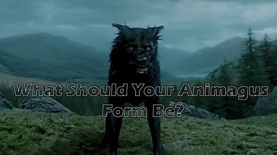 What form should your animagus take? Cat like McGonagall, Stag like James Potter, or maybe something entirely different!
