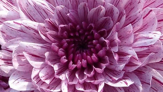 What quality radiates from you and illuminates your entire being?
