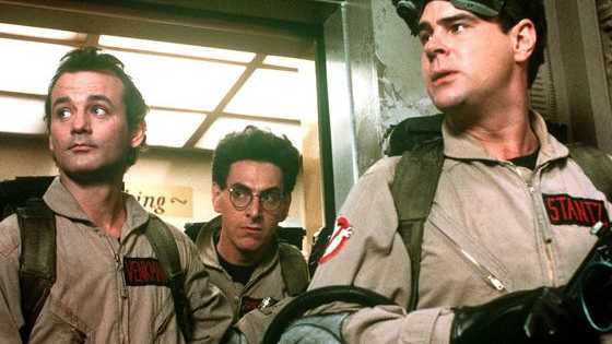 Who ya gonna call?!