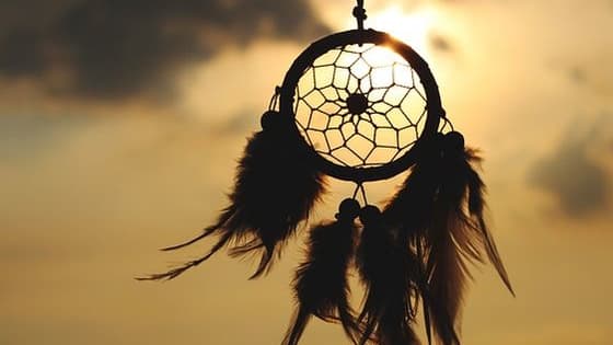 What do your dreams say about your personality and how you handle the real world?