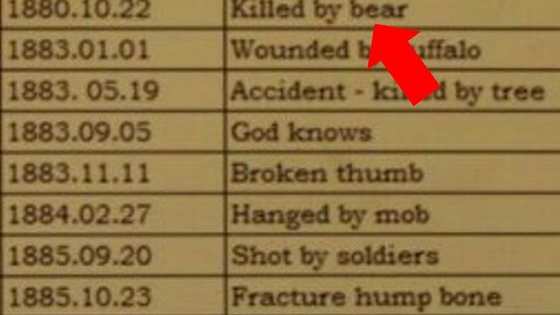 People in the 1800's died of the most shocking causes! Were you ravaged by a grizzly bear or hanged by a mob? Let's find out!