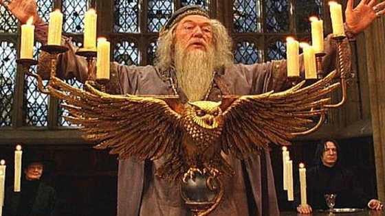 He may be one of the most powerful wizards ever, but you gotta admit, Dumbledore's got style...