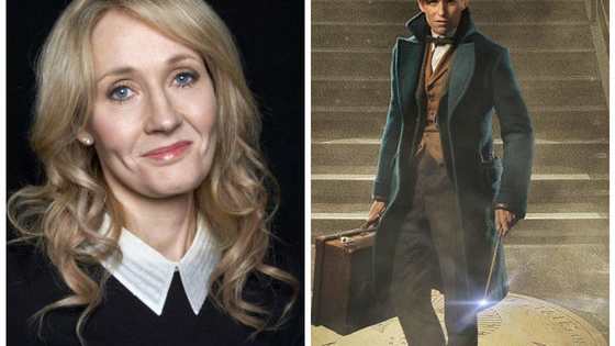 J.K. Rowling recently announced that Fantastic Beasts would be a five-film franchise. But a lot of people have had trouble believing it will actually be five movies. How do you feel about the number 5?