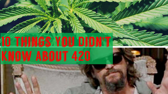 Get ready to get high...on facts! 