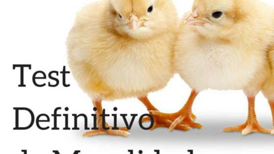 ¿Qué tipo de moralidad tienes? ¿Eres una persona ética? ¿Pones a todas las personas en el mismo nivel moral? Ponte a prueba con este examen ¡y sorpréndete!