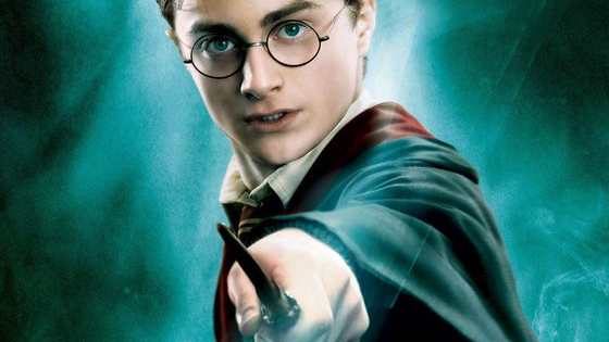 Desperately looking for the ideal gift for your Harry Potter crazed friend? Look no further as we have compiled a lovely list of ideal gift ideas for these fans!