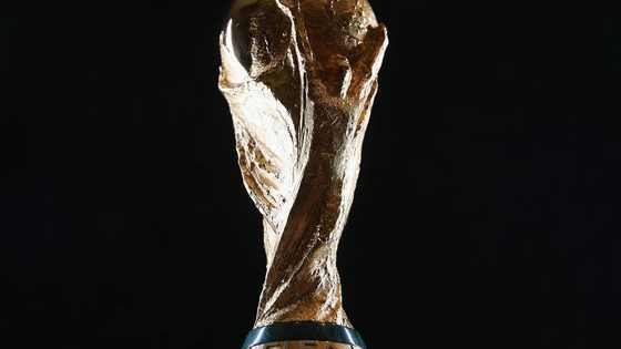 Check out Afcon and World Cup qualifiers I recommend you stream on supersport.com and on DStv Now.
