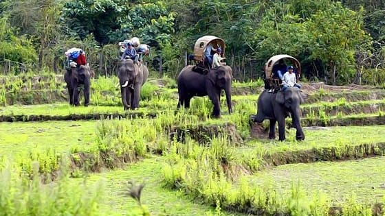 We are a leading tour operator based in Hanoi offering unbeatable Luxury Travel to Laos and Indochina, check our latest and expertly planned Laos tour packages and learn more at: http://www.luxurytravelvietnam.com/laos-tour-holiday-packages 