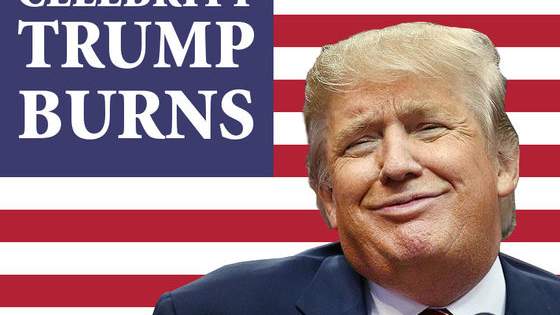 See if you can guess which celebrities are responsible for these burns on Donald Trump!