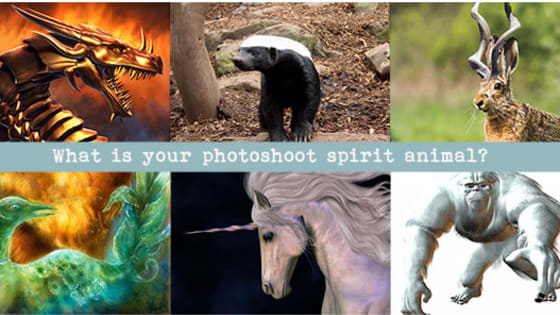 What should your photoshoot reflect about you and your business? Are you a rebel like the Honey Badger? Spiritual like the Unicorn? Love creating wealth for you and your team like the dragon? Take the quiz to discover what your imagery should be showing your audience.
