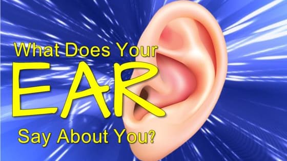 Click on the ear that most closely resembles yours and find out what that means about you!