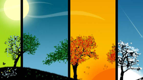 Take the test and find out which season of the year you would be according to your personality!