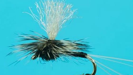 There may be over a hundred flies offered at your local fly shop. Do you know these Mayfly dry flies? Test your knowledge here. Sponsored by http://www.trout-fly-fishing.com/