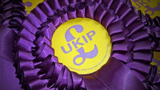 Following the announcement by Nigel Farage that he is stepping down as leader of UKIP, who do you think should become the next leader?
(Poll first published 4th July 2016)