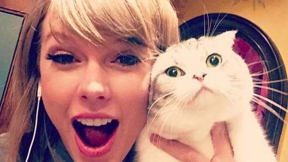 Not saying we're psychic here, but your opinions on super cuddly animals DO say a lot about you! See if we can get it right here!