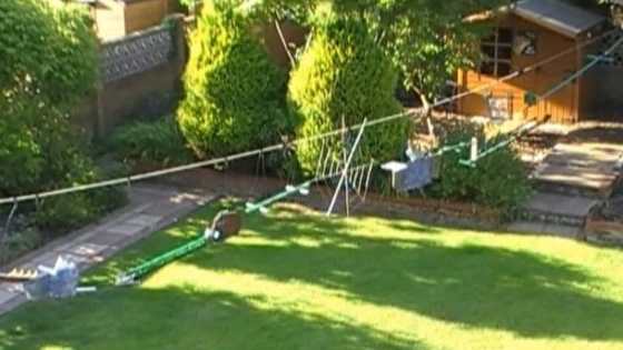 This is the product of socialized medicine and a monarchy: Themed obstacle courses for wildlife. 