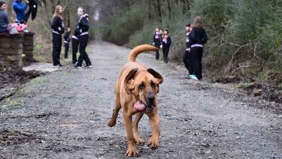 She just placed Seventh in a Half Marathon, what have you done with your January?