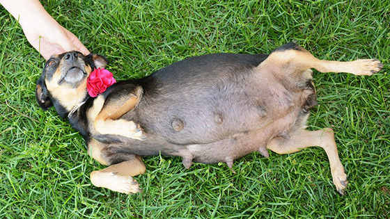 She is literally glowing. 