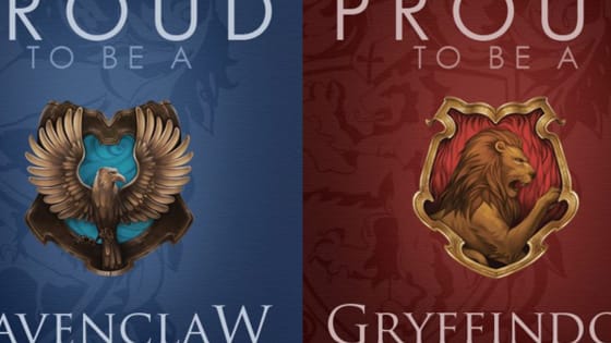 Sorting Hat confirmed :)